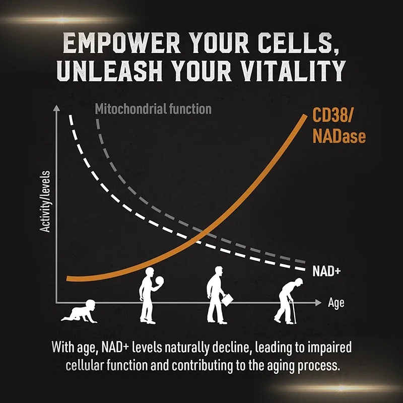 Liposomal NAD Supplement - Sup - Pre Workout Supplement review and price